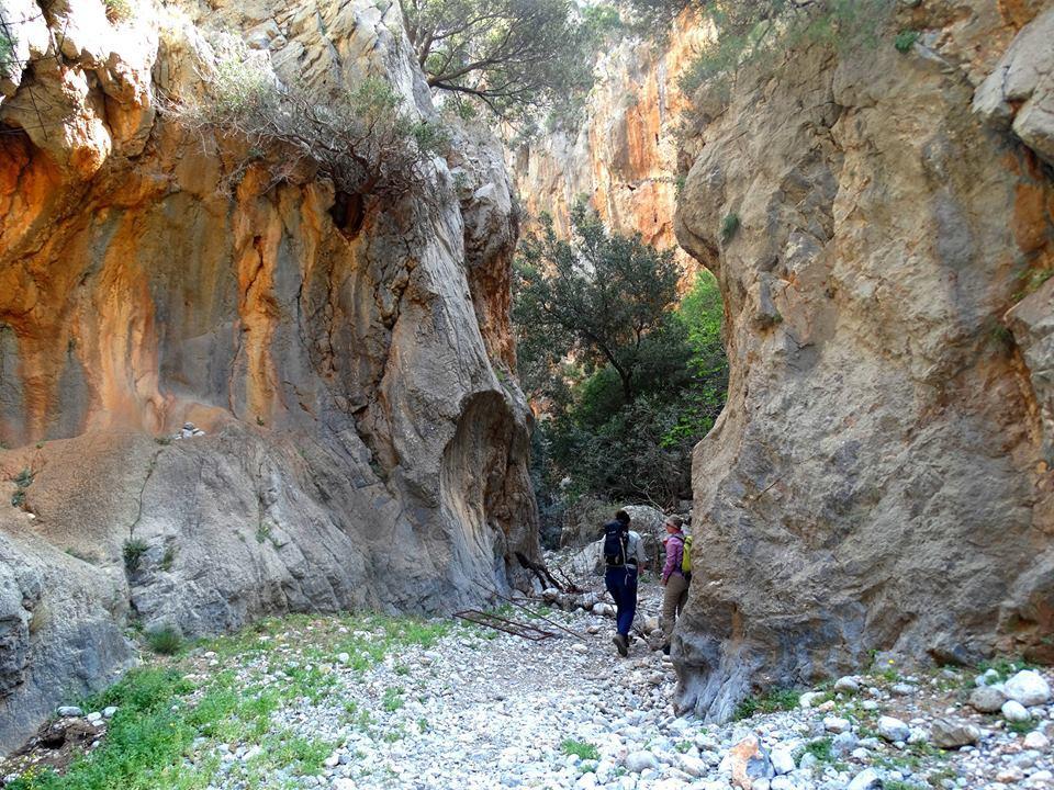 Tania Village Zakros Maisonette Exterior photo